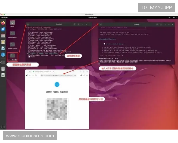 乐游棋牌新手攻略指南，快速掌握游戏规则轻松上手赢大奖